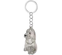 Asukohu Clear Pet Memorial Keychain Box Miniature Stockage de Cheveux pour propriétaires de chiens Design étanche Sentimental Voyage Cadeau Chiens Fourrure Keepsakes Keychain