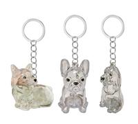 Asukohu Clear Pet Memorial Keychain Box Miniature Stockage de Cheveux pour propriétaires de chiens Design étanche Sentimental Voyage Cadeau Chiens Fourrure Keepsakes Keychain