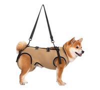 Asukohu Faisceau de câble réfléchissant pour chien - Serpentins de levage pour animaux handicapés - Avec support de poitrine réglable et handicap rembourré - Dispositif de soutien pour chien sans