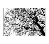 Asukohu Lot de tampons transparents en silicone pour fond d'arbre