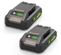 ASUNCELL 2 Pièces 24V Batterie pour Greenworks, Batteries de Remplacement pour Greenworks G24B2 G24B4 29842 29842 29852 BAG708 BAG711 20352 22232 pour Greenworks Tous Les Outils