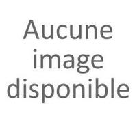 ASUS P15 P1503DA-BR451R - AMD Ryzen 5 - 3500U / jusqu'à 3.7 GHz - Win 10 Pro - Radeon Vega 8 - 8 Go RAM - 256 Go SSD NVMe - 15.6" 1366 x 768 (HD) - Éthernet - Wi-Fi 5 - gris Gris G