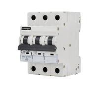 asvendo Electro/Schelinger/Disjoncteur/Interrupteur LS/Disjoncteur automatique/Fusible / 1 pôle / 3 pôles/B ou C / 2 A - 63 A/Certifié VDE (1 pôle/C/20 A)