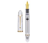 Asvine V800 Stylo Plume - Système de Remplissage sous Vide avec Grande Capacité d'Encre - Plume Extra Fine Numéro 8 Lisse avec Étui Cadeau et crylique Or Transparent