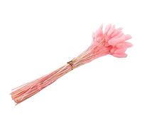 Asyduey 60Pcs Fleurs SéChéEs d'automne Queues de Lapin Fleurs SéChéEs Lagurus Ovatus Herbe de Queue de Lapin pour Fleurs SéChéEs (Rose)