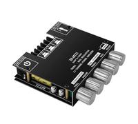 Asyduey Carte D'Amplificateur de Subwoofer pour la Carte D'Amplificateur Audio Power 50Wx2 + 100W