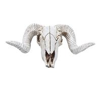 Asyduey Créatif Résine Moutons Tête de Crâne Tenture Tenture Murale 3D Animal Longhorn Sculpture Figurines Artisanat Cornes Décor À Décorations