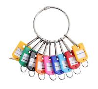 Asyduey Organisateur de Clés et Réutilisable avec 10 Crochets à Ressort et Porte-Clés avec Anneau et Fenêtre D'Étiquette