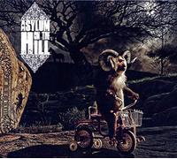 Asylum on the Hill - Passage to the Puzzle..