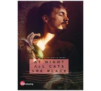 At Night All Cats Are Black - Valentin Merz - Drame (2025) Dvd
