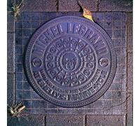 At Shelly's Manne-Hole