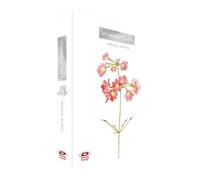 At summer's end. Box (Vol. 1-2)