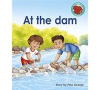At the dam by Paul George Capstone Global Library Ltd (Auteur)