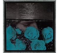 At the Down-Turned Jagged Rim of the Sky