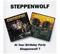 At Your Birthday Party Seven