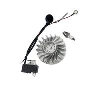 AT02 - Allumage Haute Tension, Bougie d'allumage à Volant magnétique, Accessoires et pièces détachées for scie à Huile compatibles avec MS361