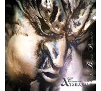 Ataraxia - Concerto N 6 [Import]
