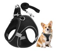 ATBUSS 1 Jeu De Sangles De Poitrine en Maille avec Laisse, Laisse De Chien Réglable Et Confortable, Laisse Réfléchissante Respirante, Laisse pour Animaux De Compagnie D'Extérieur.