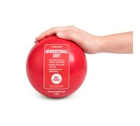 ATC Handels GmbH Balle lestée souple individuellement remplie de sable dans différents poids pour yoga, pilates, rééducation et fitness - Ballon de tonification Heavy Ball