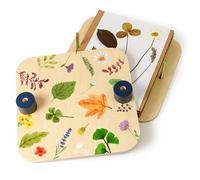 Atelier création d'un herbier avec presse à fleurs