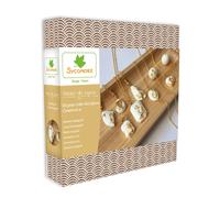 Atelier de bijoux ciment et feuilles d'or Sycomore