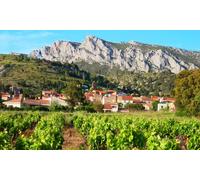 Atelier de dégustation 1h30 de 6 à 8 vins (rouges blancs rosés) avec fromage charcuterie et chocolat pour 2 pers.