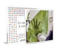 Atelier de teintures végétales à la découverte du pouvoir colorant des plantes - SMARTBOX - Coffret Cadeau Sport & Aventure G