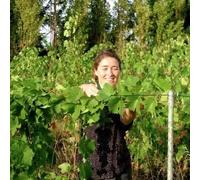 Atelier Dégustation de Grands Crus à Rennes
