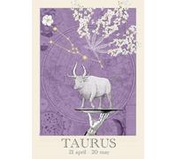 Atelier Sidonie Blondel Illustration autour du signe astrologique du TAUREAU - A5