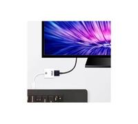 ATEN vc986 DisplayPort vers Adaptateur HDMI 4 K Blanc