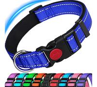 ATETEO Reflective Dog Collar with Safety Locking Buckle and Soft Neoprene Padded, Adjustable Durable Nylon Puppy Collars for Small Medium Dogs,Blue