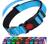 ATETEO Reflective Dog Collar with Safety Locking Buckle and Soft Neoprene Padded, Adjustable Durable Nylon Puppy Collars for Small Medium Dogs,Light Blue,S: 9-14.2 inch
