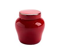 ATGQBCF Urne pour Animaux Urne Crémation Animaux Compagnie Mini Urnes Céramique Faites Main Animaux Compagnie Chat Chien Urne Chers Monuments Commémoratifs Monuments Funéraires(3)