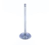 Athena Soupape D´échappement Ve-210211t