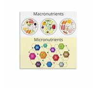 Athlete Meal Prep Chart Canvas Painting Macronutrient Distribution for Sports Room Wall Decor Performance Nutrition Poster Fitness Gift Idea(Unframed,16x24inch(40x60cm))