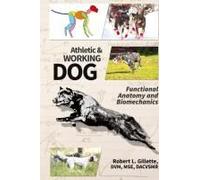 Athletic And Working Dog