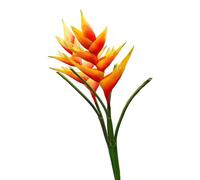 AtHomeYuyue Lot de 4 héliconia artificielles en latex - 85,1 cm - Oiseau du paradis - Fleurs tropicales artificielles pour bouquets, maison, bureau, décoration de mariage (orange)