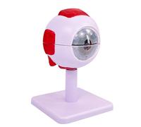ATJSXWIN Grossissement Humain Globe Oculaire Structure Anatomique Modèle, détachable Oculaire modèle pour l'enseignement Médical et l'Éducation des Patients, avec présentoir(3X Eyeball)