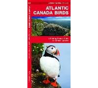 Atlantic Canada Birds: A Folding Pocket Guide To Familiar Species