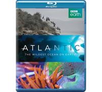 Atlantic: Wildest Ocean on Earth [Edizione: Regno Unito] [Blu-Ray] [Import]