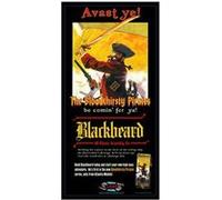 Atlantis Toy and Hobby Model Kits - Blackbeard The Bloodthirsty Pirate Model Kit - brun, ivoire Brun, Ivoire G