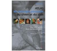 Atlas De Chirurgie Périnéale Du Chien Et Du Chat