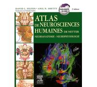 Atlas De Neurosciences Humaines De Netter