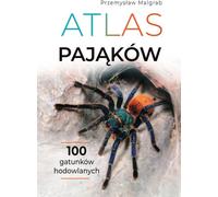 Atlas des araignées