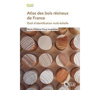 Atlas des bois résineux de France: Outil d'identification multi-échelle
