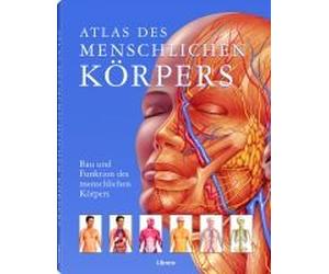 Atlas Des Menschlichen Körpers