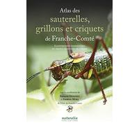 Atlas des sauterelles, grillons et criquets de Franche-Comté