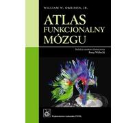 Atlas fonctionnel du cerveau