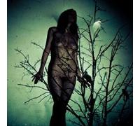 Atlas Moth - Ache for the Distance