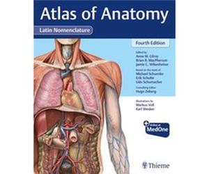 Atlas of Anatomy Latin Nomenclature by Udo Schumacher Anne M Gilroy Brian R MacPherson Jamie Wikenheiser Michael Schuenke Erik Schulte Udo Schumacher (Auteur)